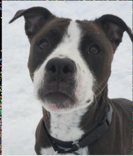 Roxy